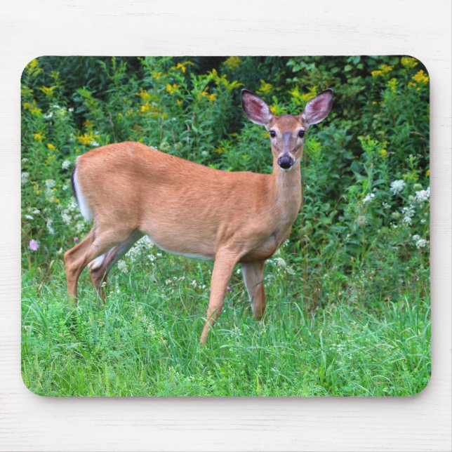 White Tailed Female Deer Mouse Pad (Front)