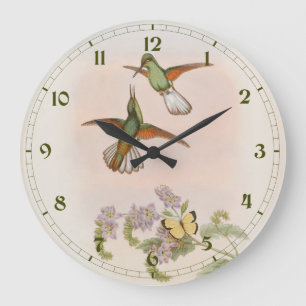 White-tailed Hummingbird (Eupherusa poliocerca) Large Clock