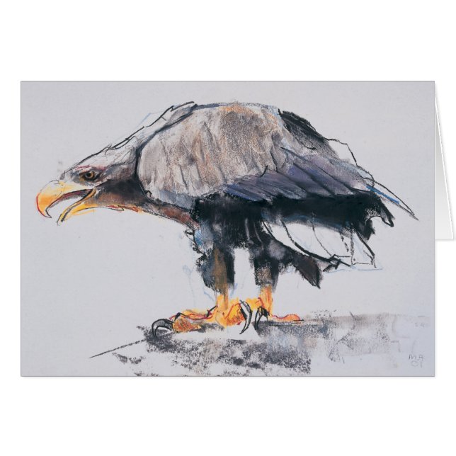 White tailed Sea Eagle 2001 (Front Horizontal)