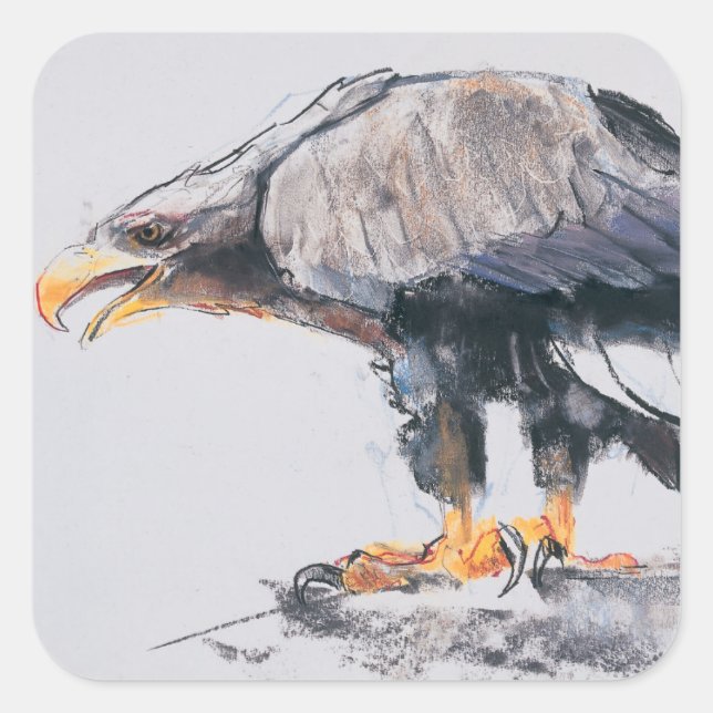 White tailed Sea Eagle 2001 Square Sticker (Front)