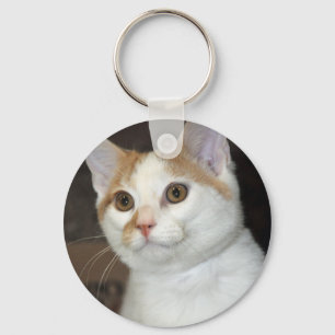 White/Tan Shorthair Shelter Cat Keychain