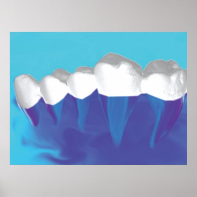 White Teeth Design Dentist Orthodontist Poster (Front)