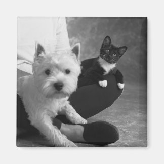 White Terrier and Cat Share the Love Magnet
