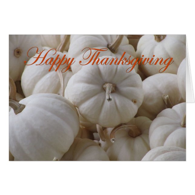 White Thanksgiving Pumpkins (Front Horizontal)
