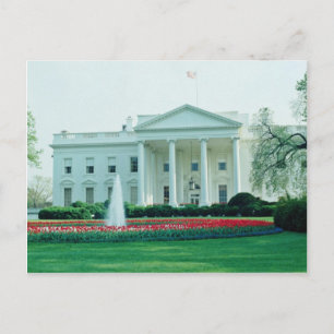 White The White House, Washington, D.C., U.S.A. fl Postcard
