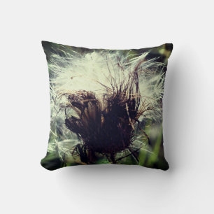 White Thistle Seed Fluff Close Up  Cushion