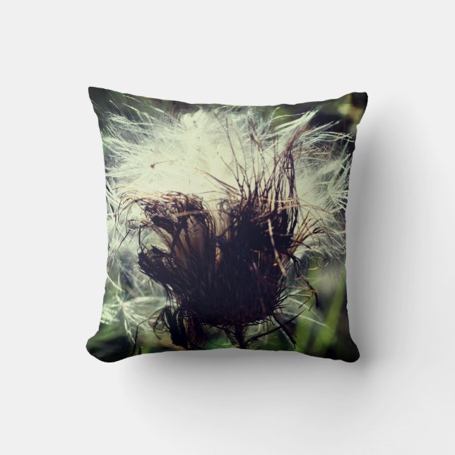 White Thistle Seed Fluff Close Up  Cushion (Front)