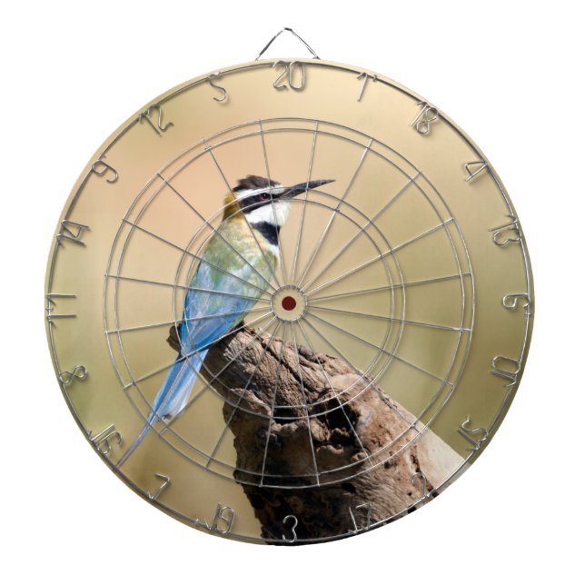 White throated Bee-eater Dartboard (Front)