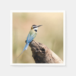 White throated Bee-eater Napkin