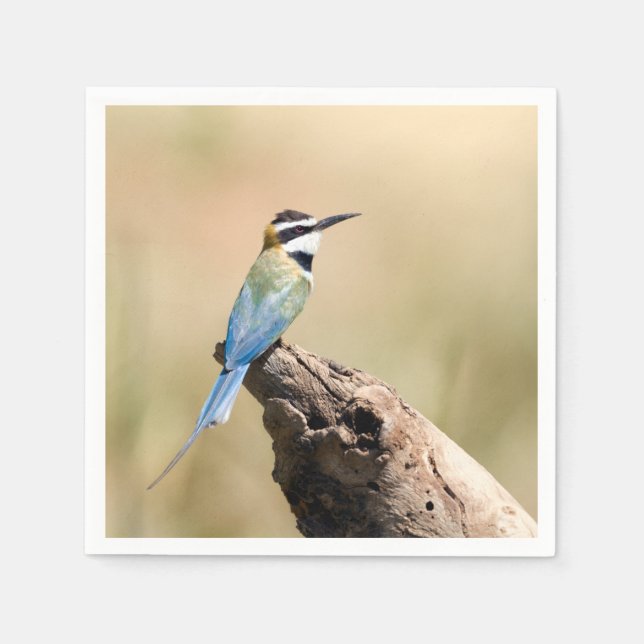 White throated Bee-eater Napkin (Front)