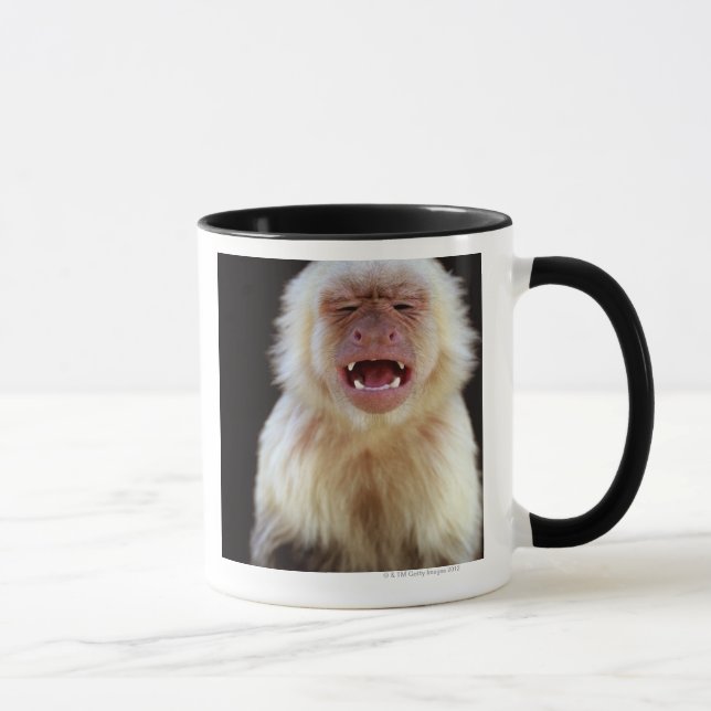 White-throated capuchin (Cebus capucinus) Mug (Right)