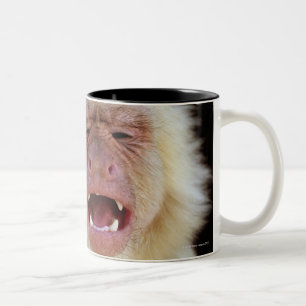 White-throated capuchin (Cebus capucinus) with Two-Tone Coffee Mug