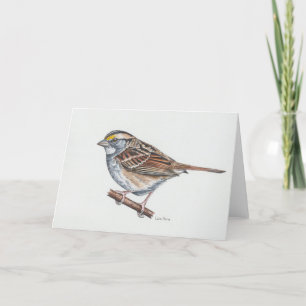 White-throated Sparrow Art Card