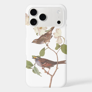White-Throated Sparrow Audubon Birds in Dogwood