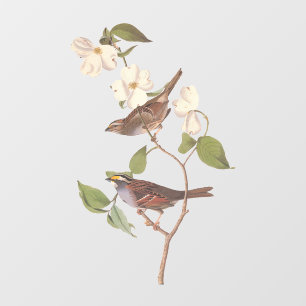 White Throated Sparrow Audubon Birds with Flowers