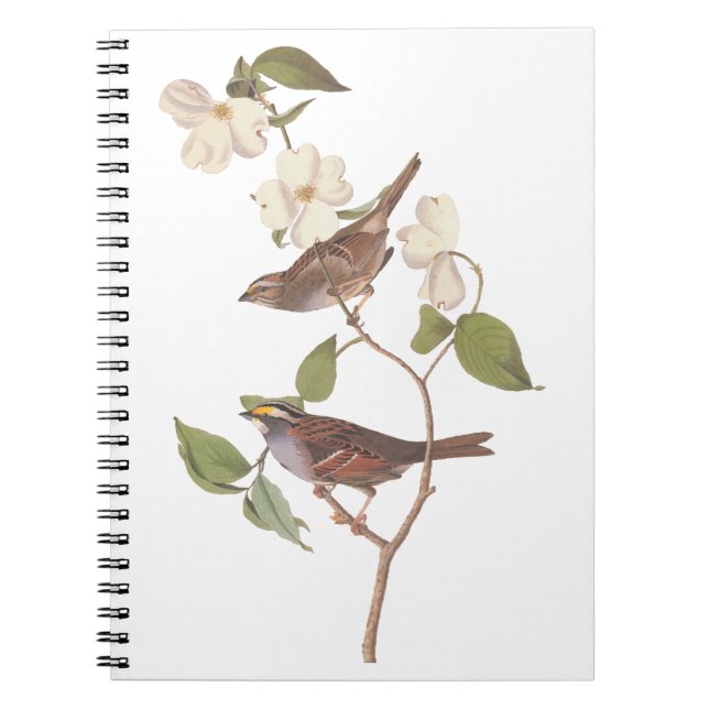 White Throated Sparrow Audubon Birds with Flowers Notebook (Front)