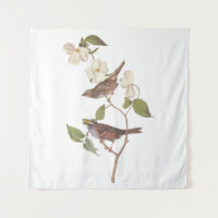 White Throated Sparrow Audubon Birds with Flowers