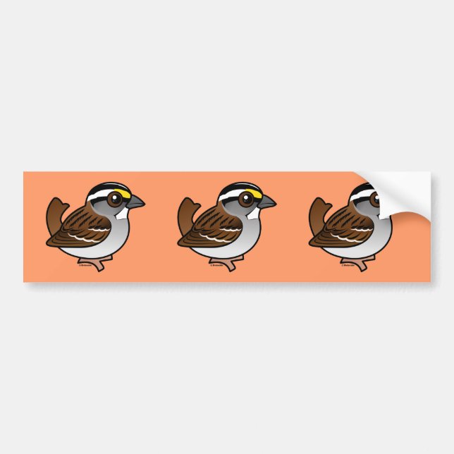 White-throated Sparrow Bumper Sticker (Front)