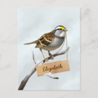 White Throated Sparrow Customise Name