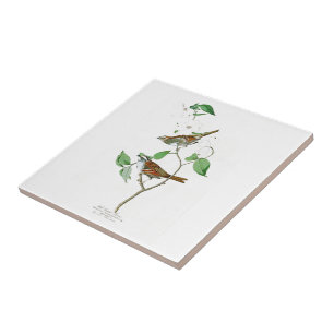 White Throated Sparrow John Audubon Birds America Ceramic Tile
