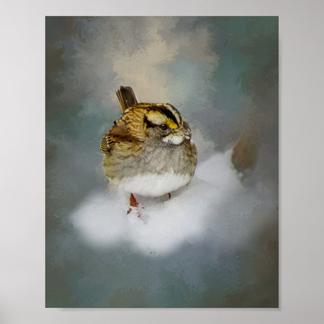 White Throated Sparrow Poster (Front)