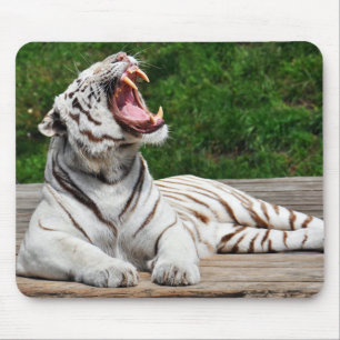 White Tiger, Bengal Tiger Mousepad