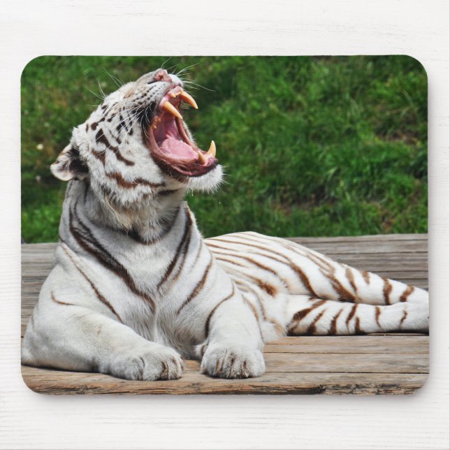 White Tiger, Bengal Tiger Mousepad (Front)