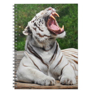 White Tiger, Bengal Tiger Notebook