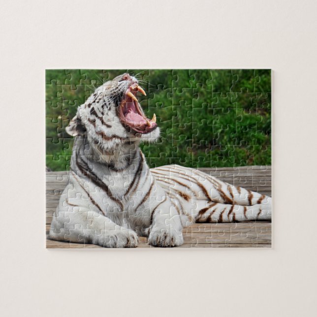 White Tiger, Bengal Tiger Puzzle (Horizontal)