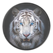 White Tiger Blue Eyes