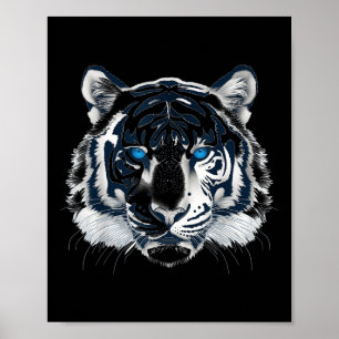 White Tiger Blue Eyes Wild Cat Animal _1 Poster