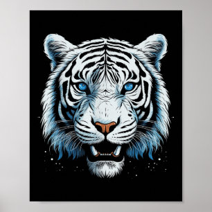 White Tiger Blue Eyes Wild Cat Animal  Poster
