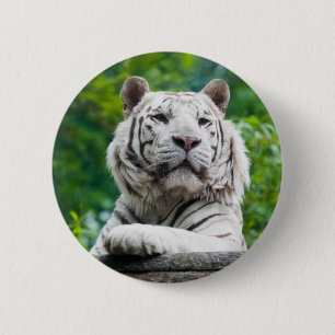 White Tiger button