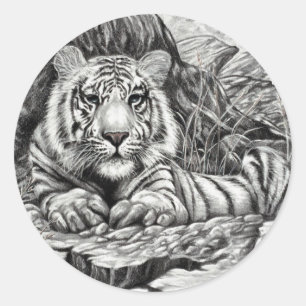 WHITE TIGER   by Diana S Martin Classic Round Sticker