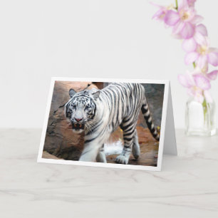 White Tiger Card