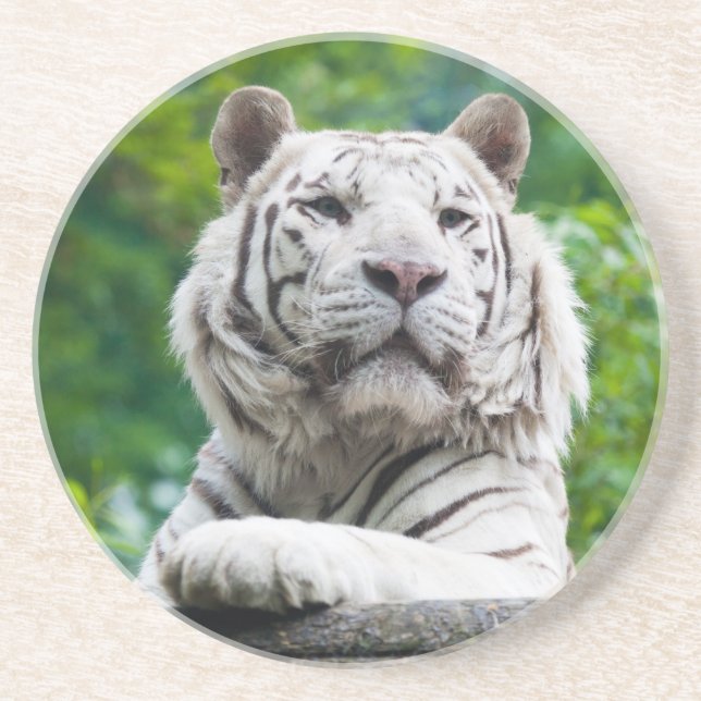 White Tiger coaster (Front)