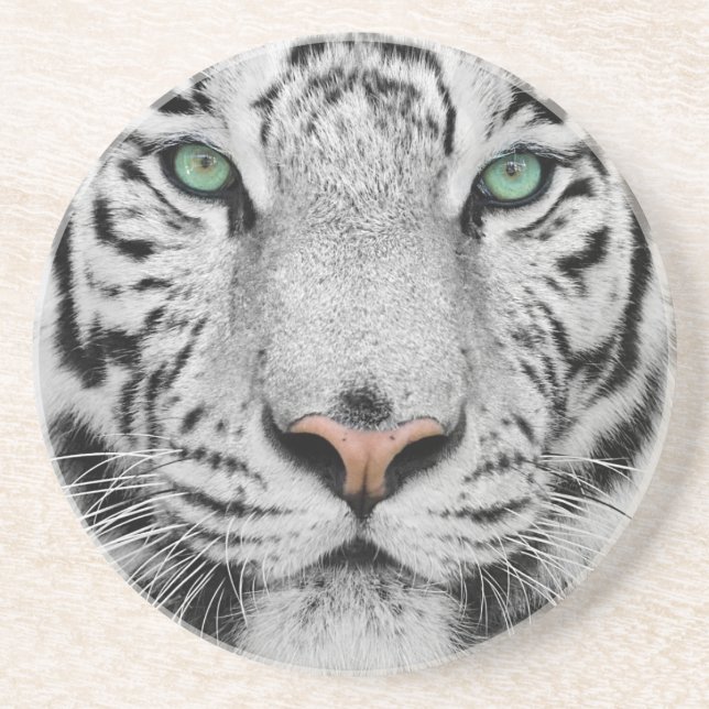 White Tiger Coaster (Front)