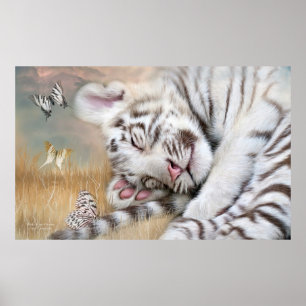 White Tiger Dreams Fine Art Poster/Print Poster