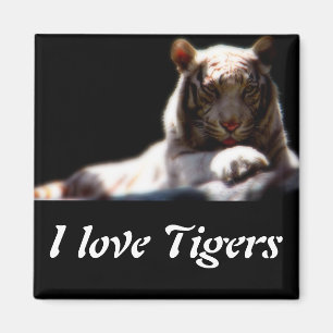 White Tiger Fridge Magnet