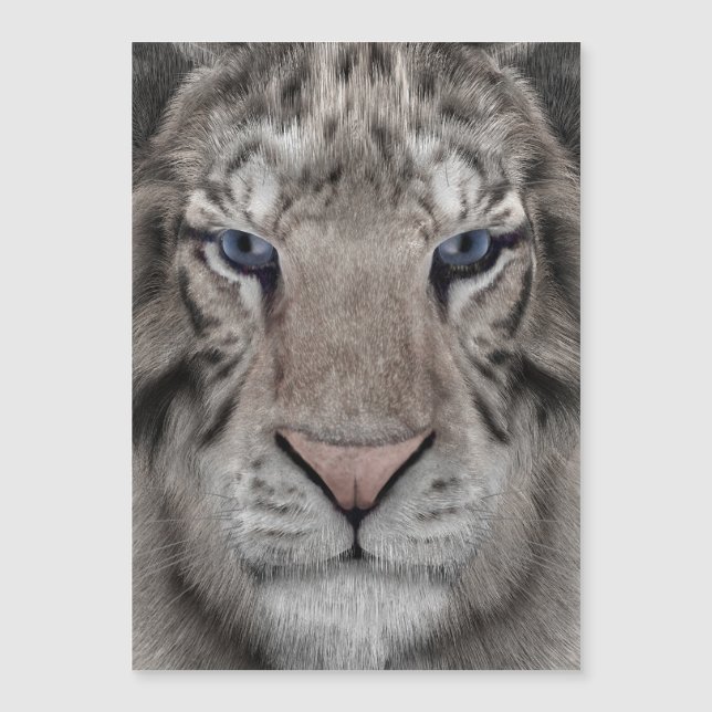 white_tiger_head (Front)