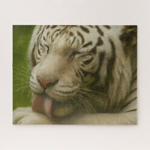 White Tiger in Private Grooming Ritual Jigsaw Puzzle