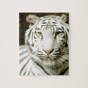 White Tiger Jigsaw Puzzle