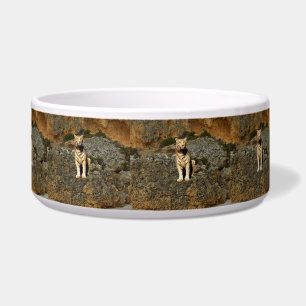 White Tiger Lookout,   