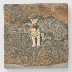 White Tiger Lookout, Stone Coaster