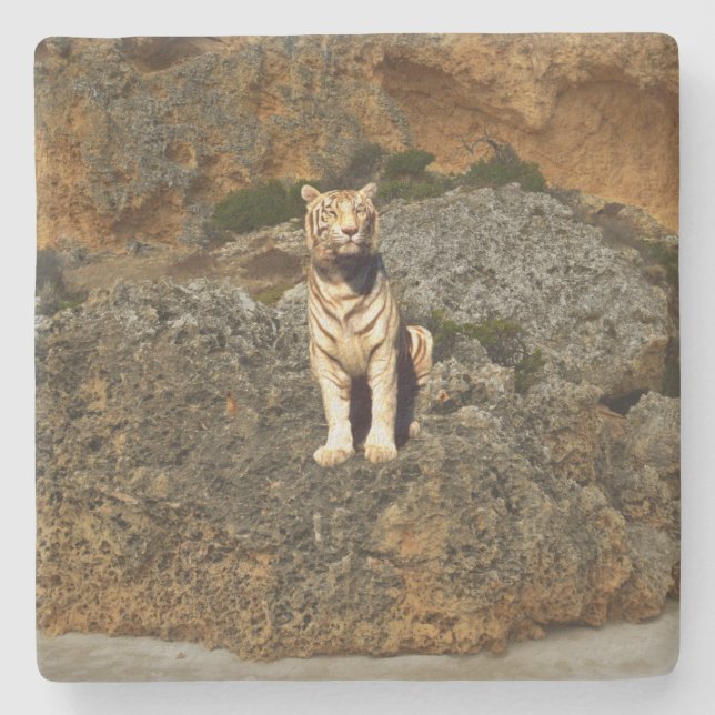 White Tiger Lookout,    Stone Coaster (Front)