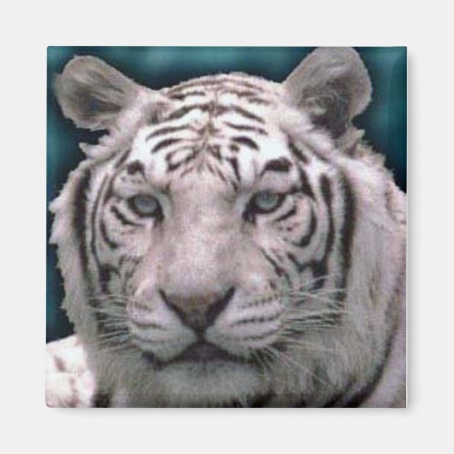 White Tiger, Magnet (Front)