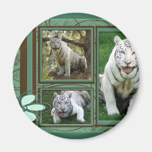 White Tiger Magnet
