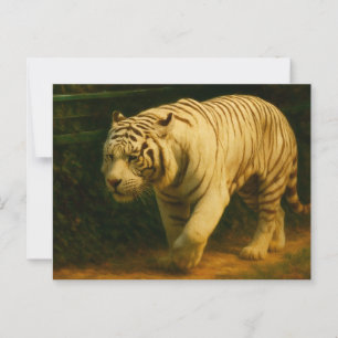 White Tiger Majesty – Stylised Wildlife Art Print Postcard