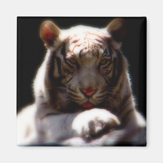White Tiger Mirage Magnet (Front)