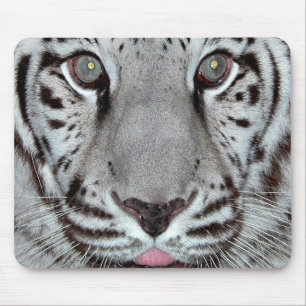 White Tiger Mouse Pad